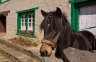 nepal-9025.jpg - 